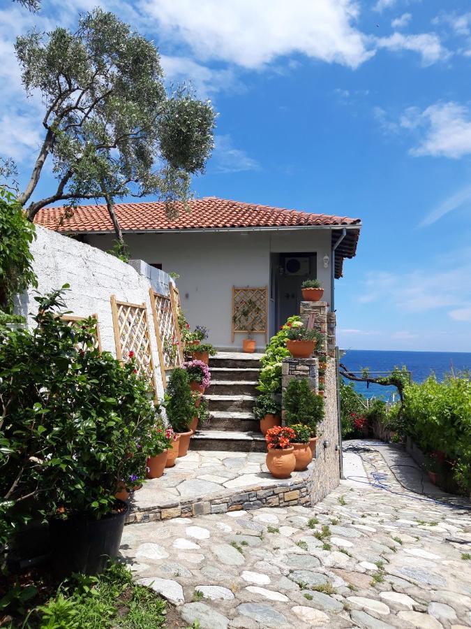 Ammos Papanero Appartement Agios Ioannis  Buitenkant foto